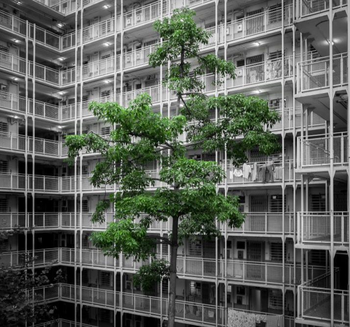 Lecture Series 2019: China's Green Transformation