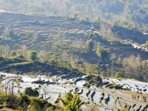 Lecture: Transforming China’s Agriculture and Food Sector – On path to sustainability?