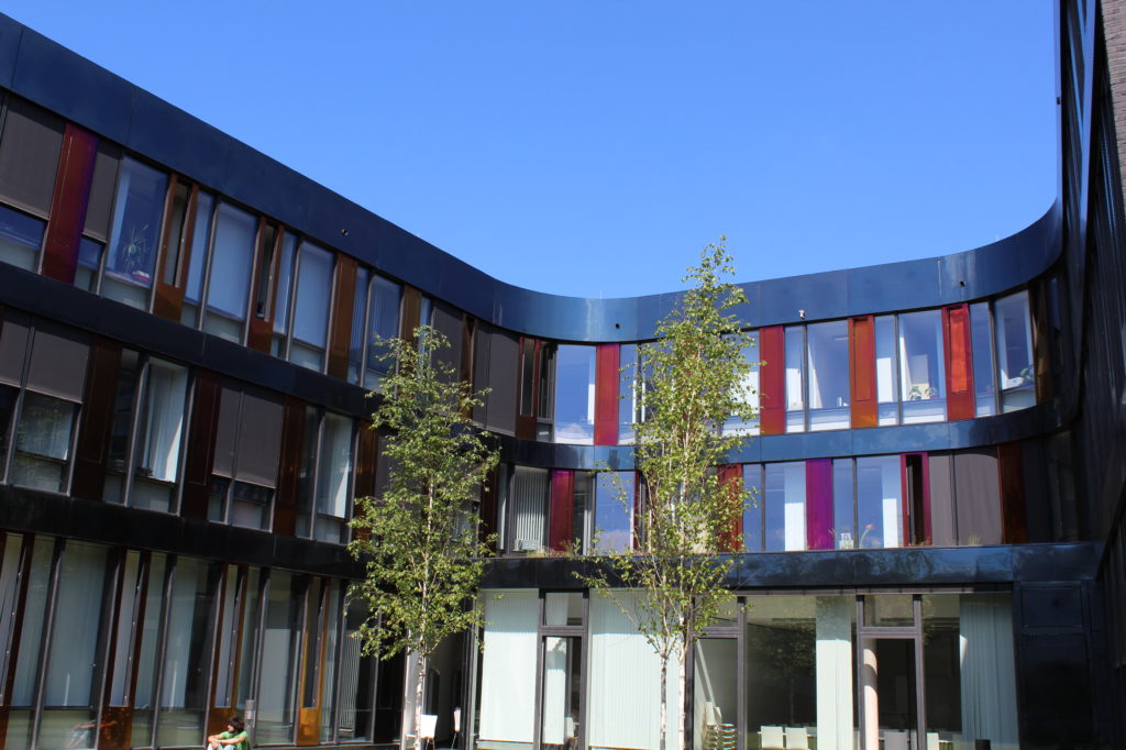 Neues Forschungsprojekt zu KI im Chinesischunterricht